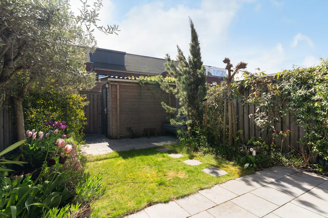 Foto 38 van Citroenvlinder 23