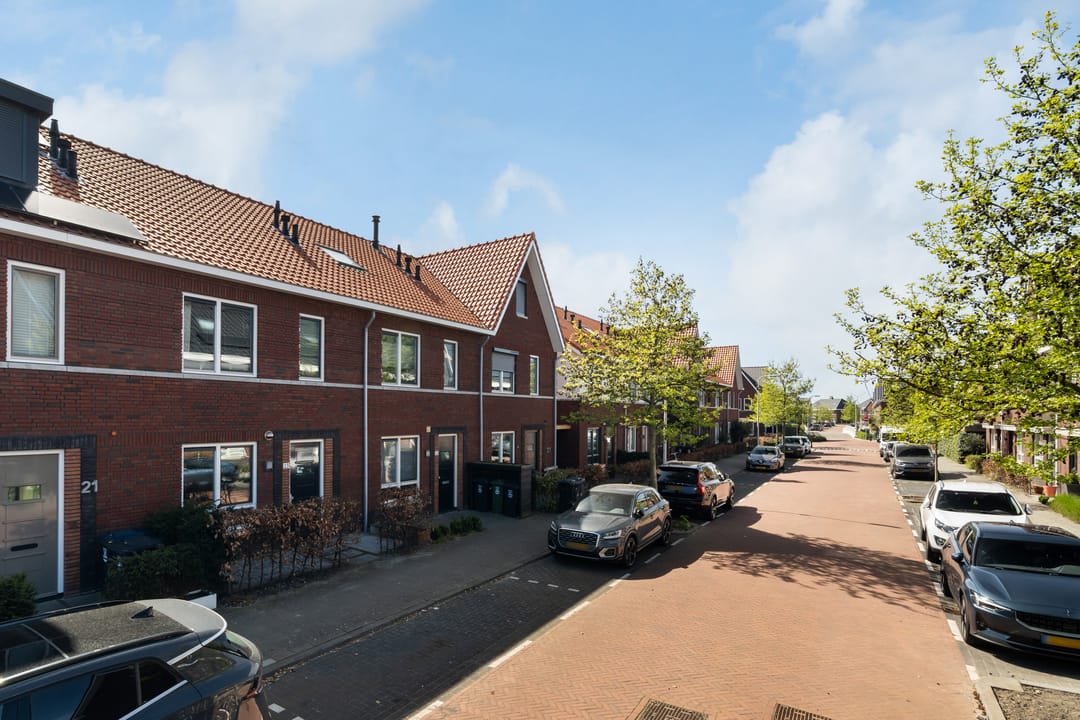 Foto 43 van Citroenvlinder 23