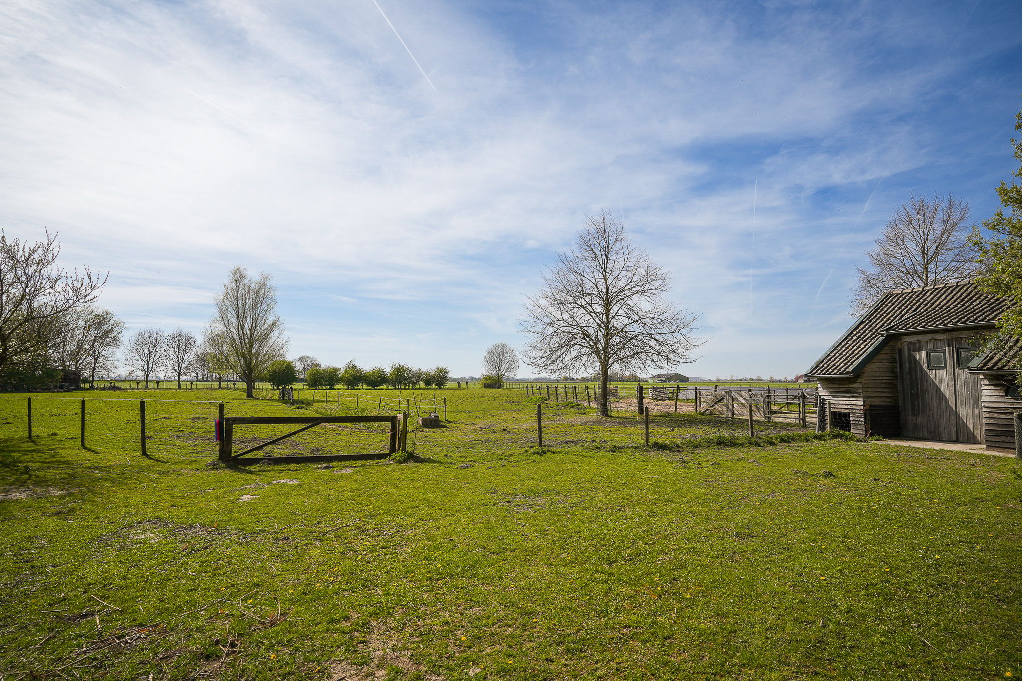 Photo 36 of Nieuwe Steeg 4
