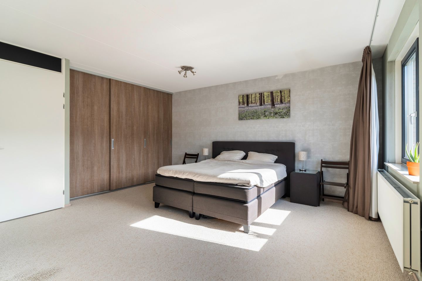 Foto 5 van Citroenvlinder 23