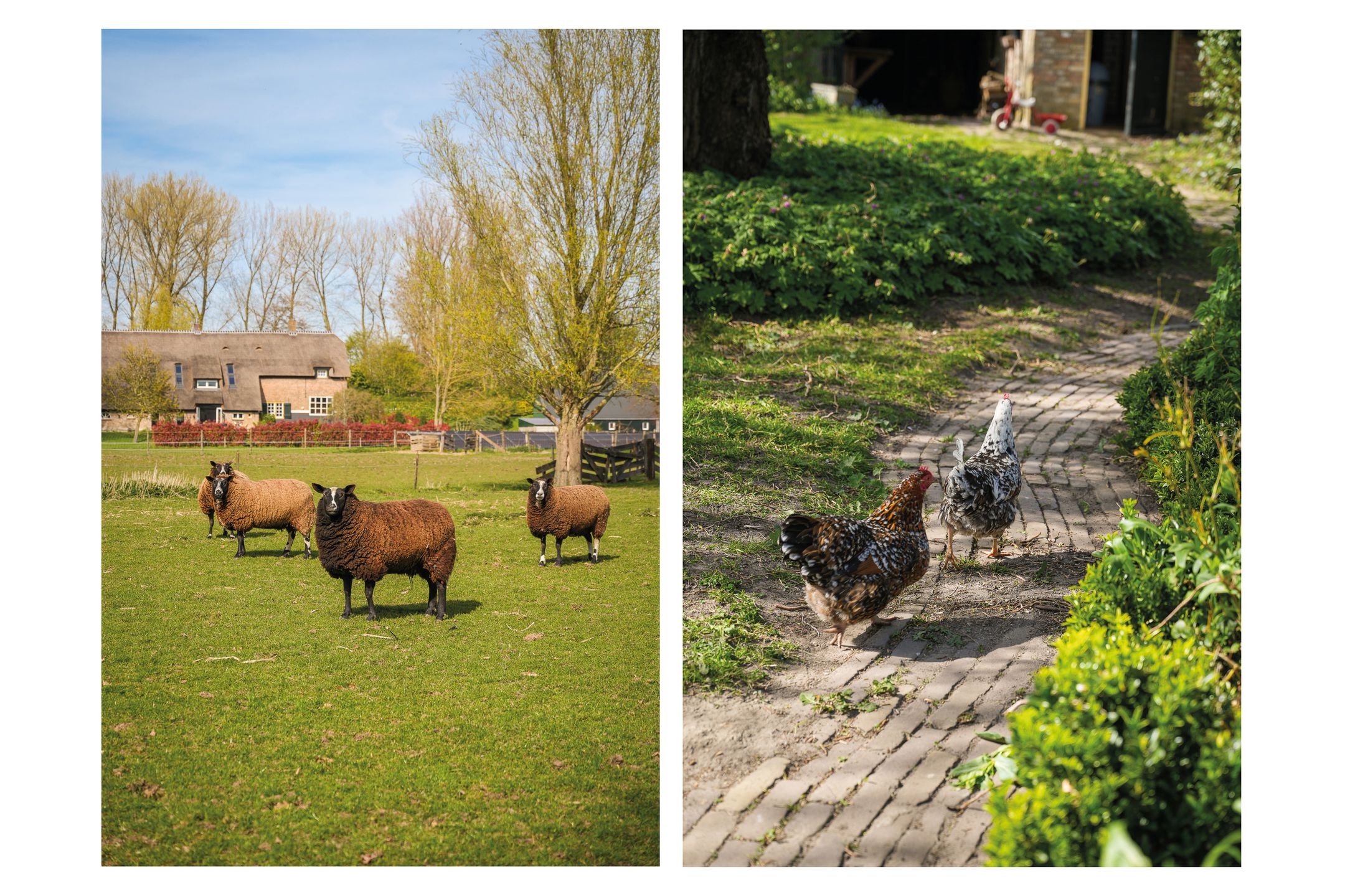 Photo 30 of Nieuwe Steeg 4