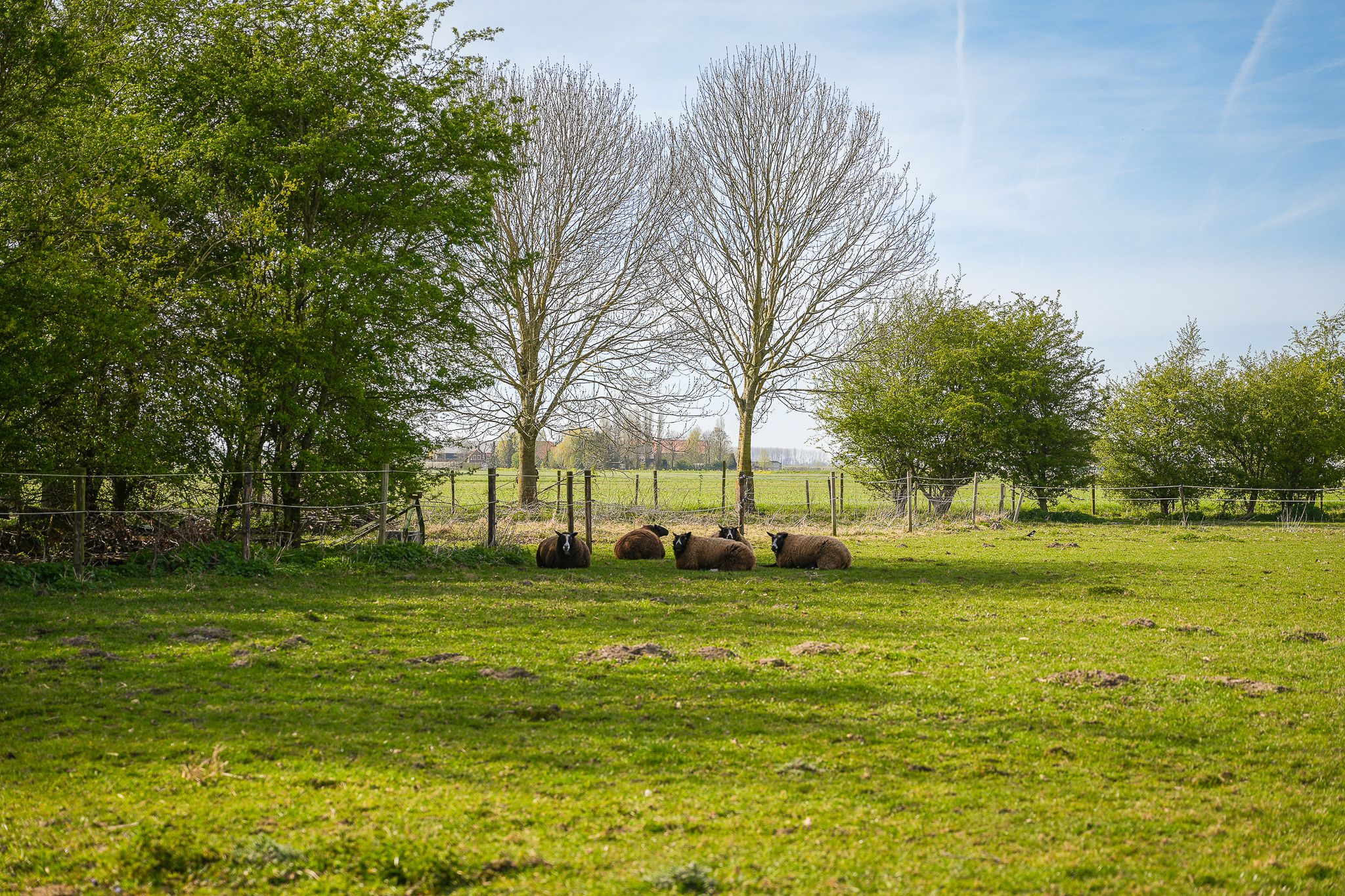 Photo 39 of Nieuwe Steeg 4