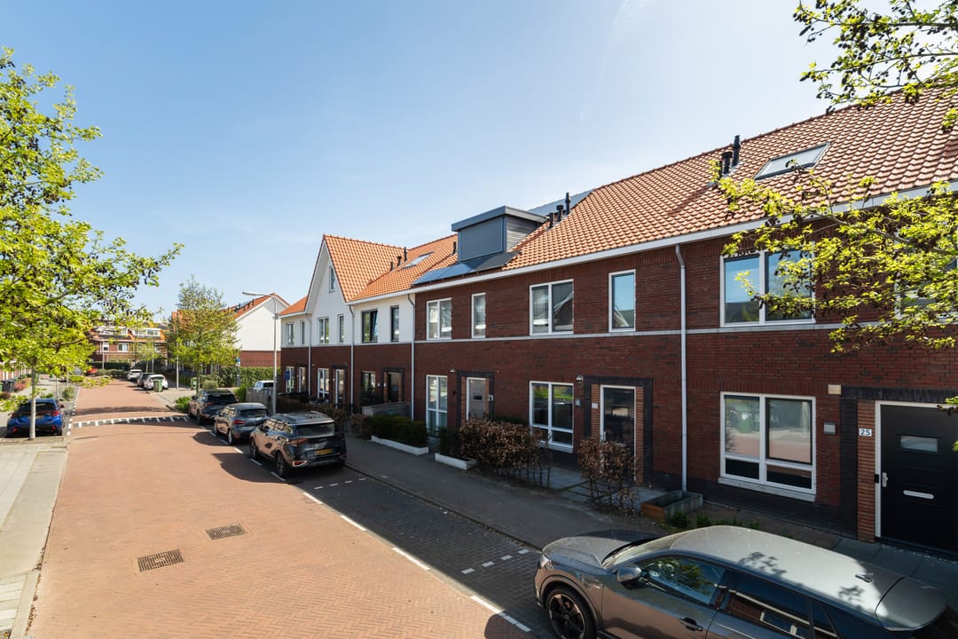 Foto 41 van Citroenvlinder 23