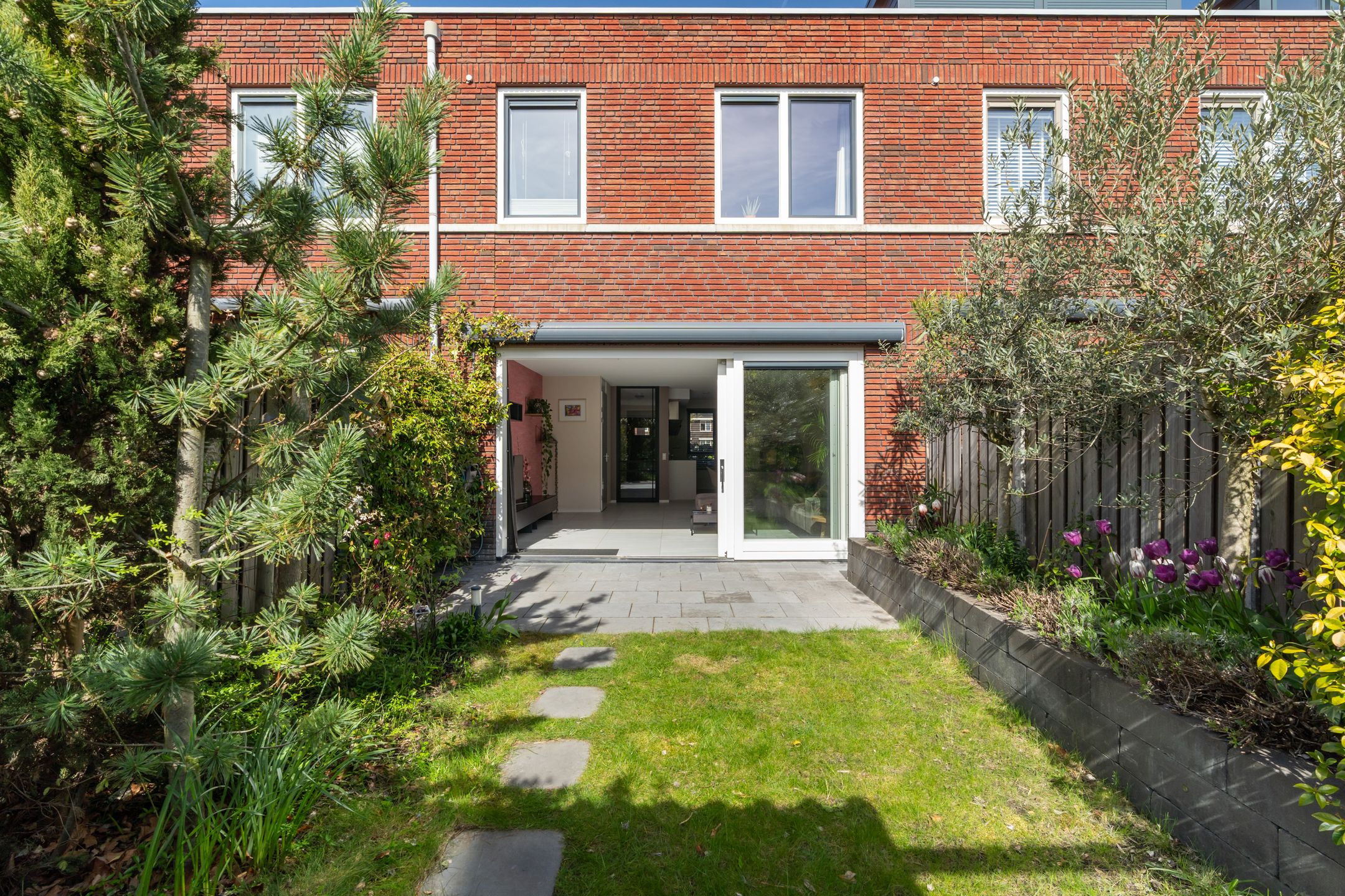 Foto 39 van Citroenvlinder 23