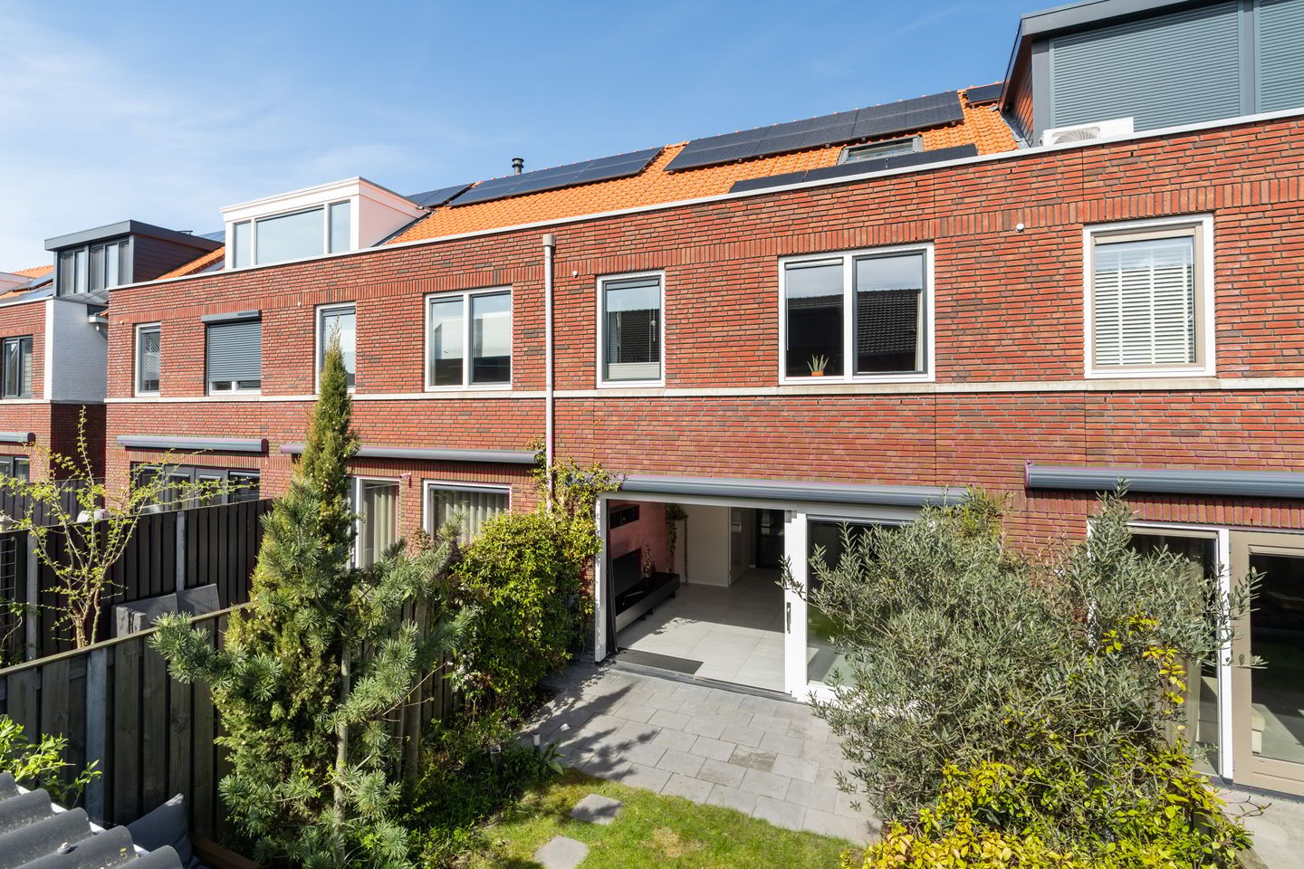 Foto 40 van Citroenvlinder 23