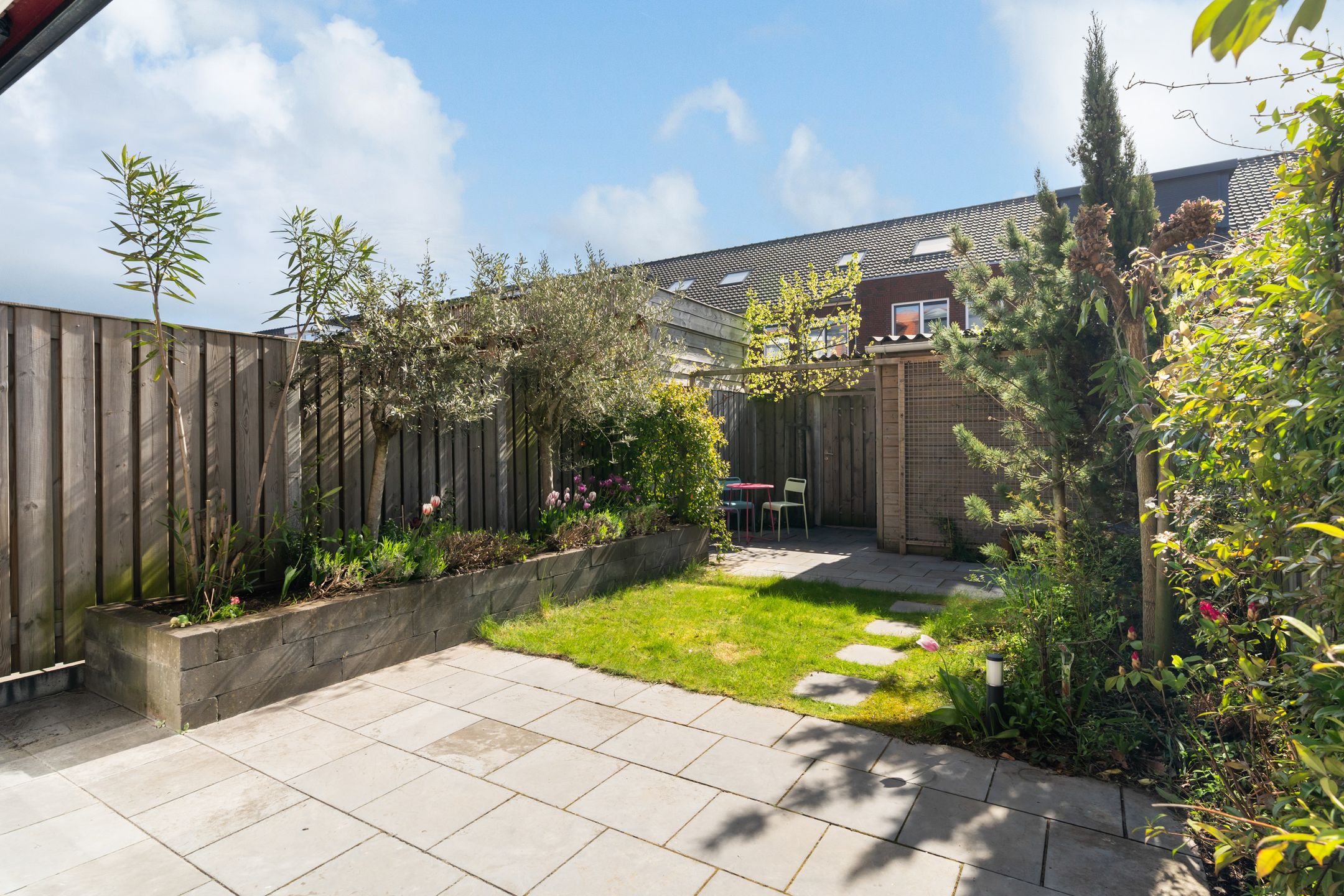 Foto 6 van Citroenvlinder 23