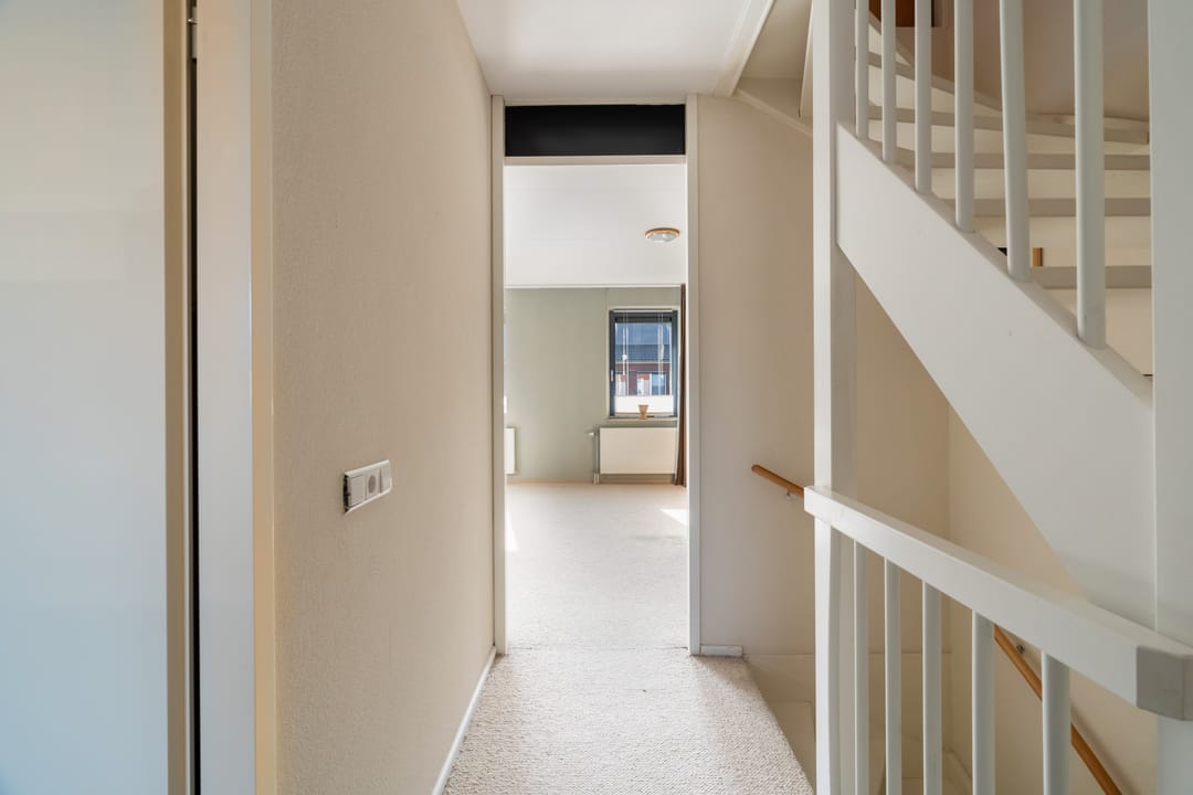 Foto 23 van Citroenvlinder 23