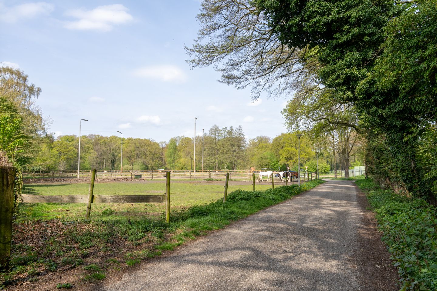 Foto 49 van Het Sander 20