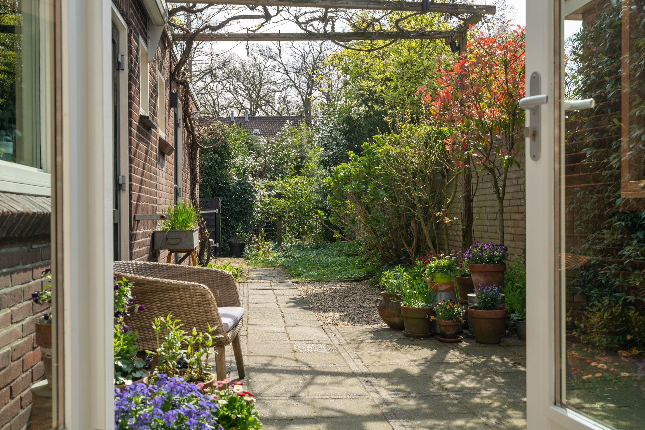 Foto 48 van Het Sander 20