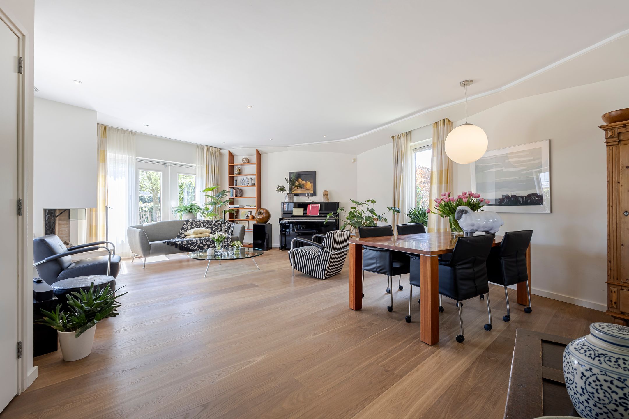 Foto 3 van Knobbelzwaan 4