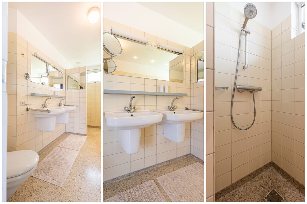 Foto 16 van Knobbelzwaan 4