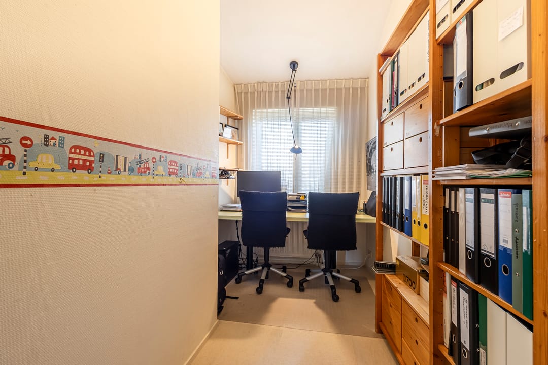 Foto 17 van Knobbelzwaan 4