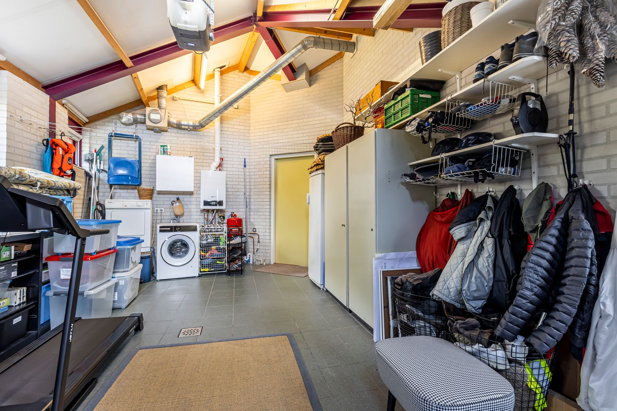 Foto 18 van Knobbelzwaan 4