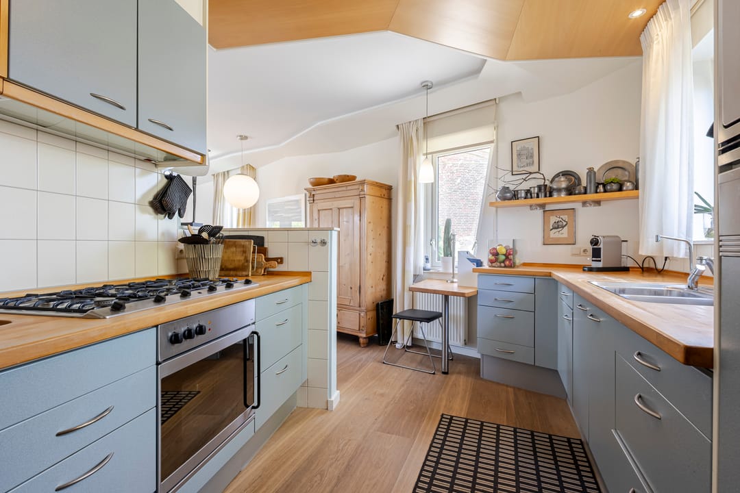 Foto 8 van Knobbelzwaan 4