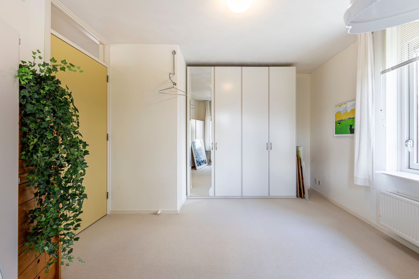 Foto 20 van Knobbelzwaan 4