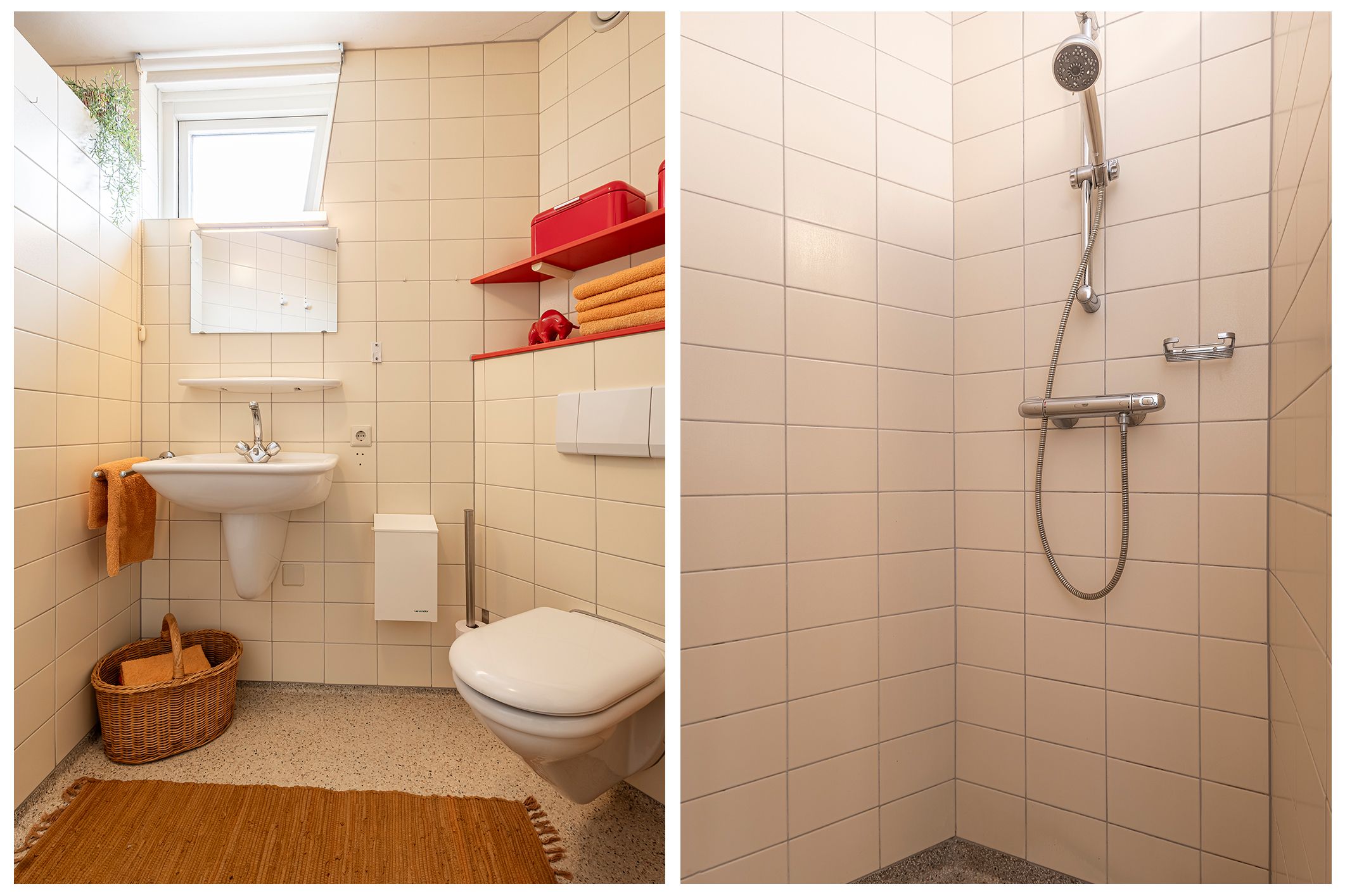 Foto 24 van Knobbelzwaan 4