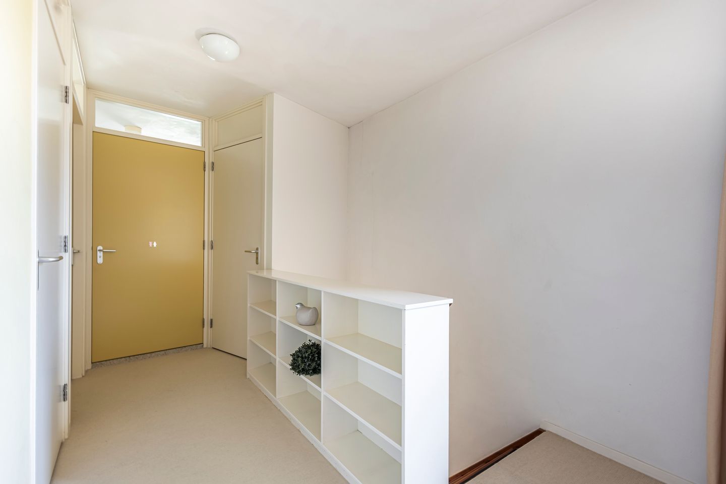 Foto 25 van Knobbelzwaan 4