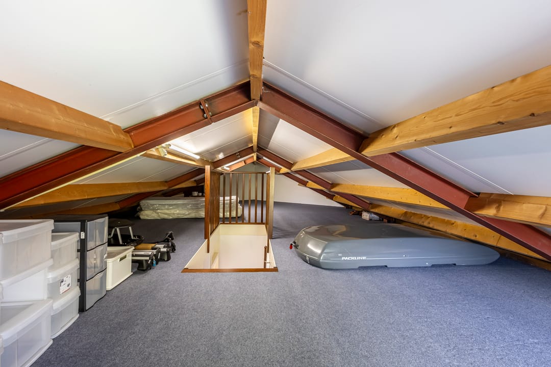 Foto 26 van Knobbelzwaan 4