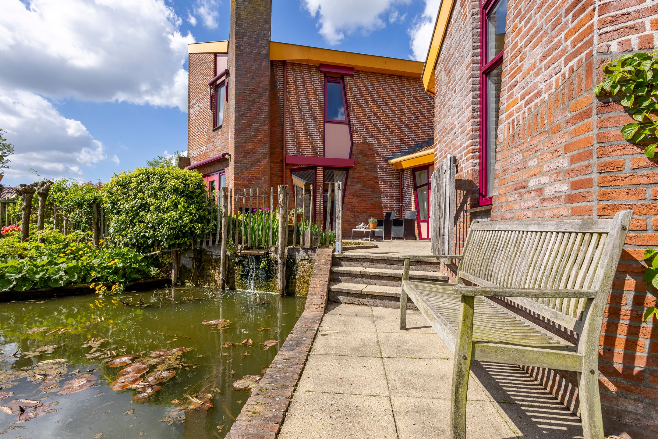 Foto 30 van Knobbelzwaan 4