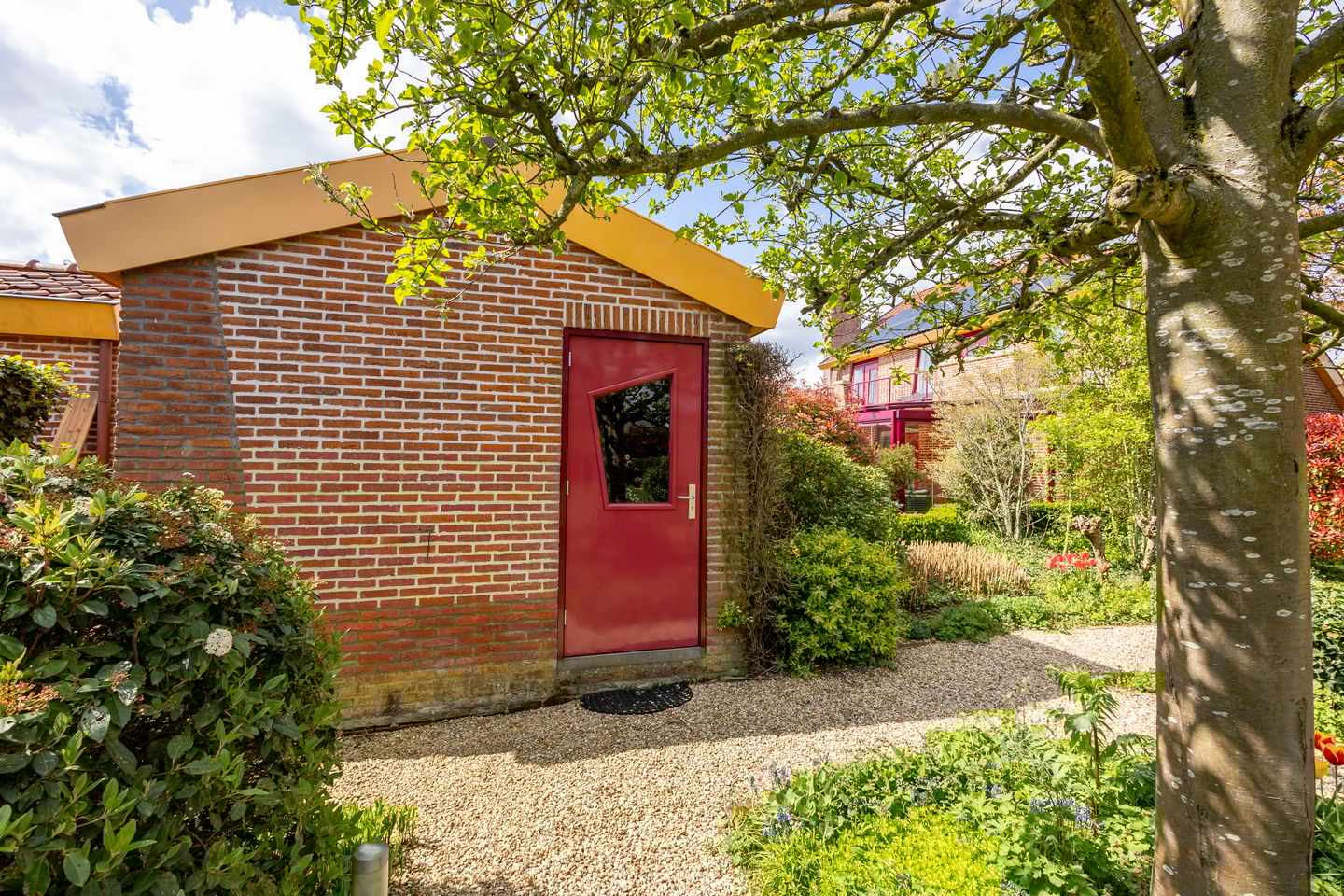 Foto 34 van Knobbelzwaan 4