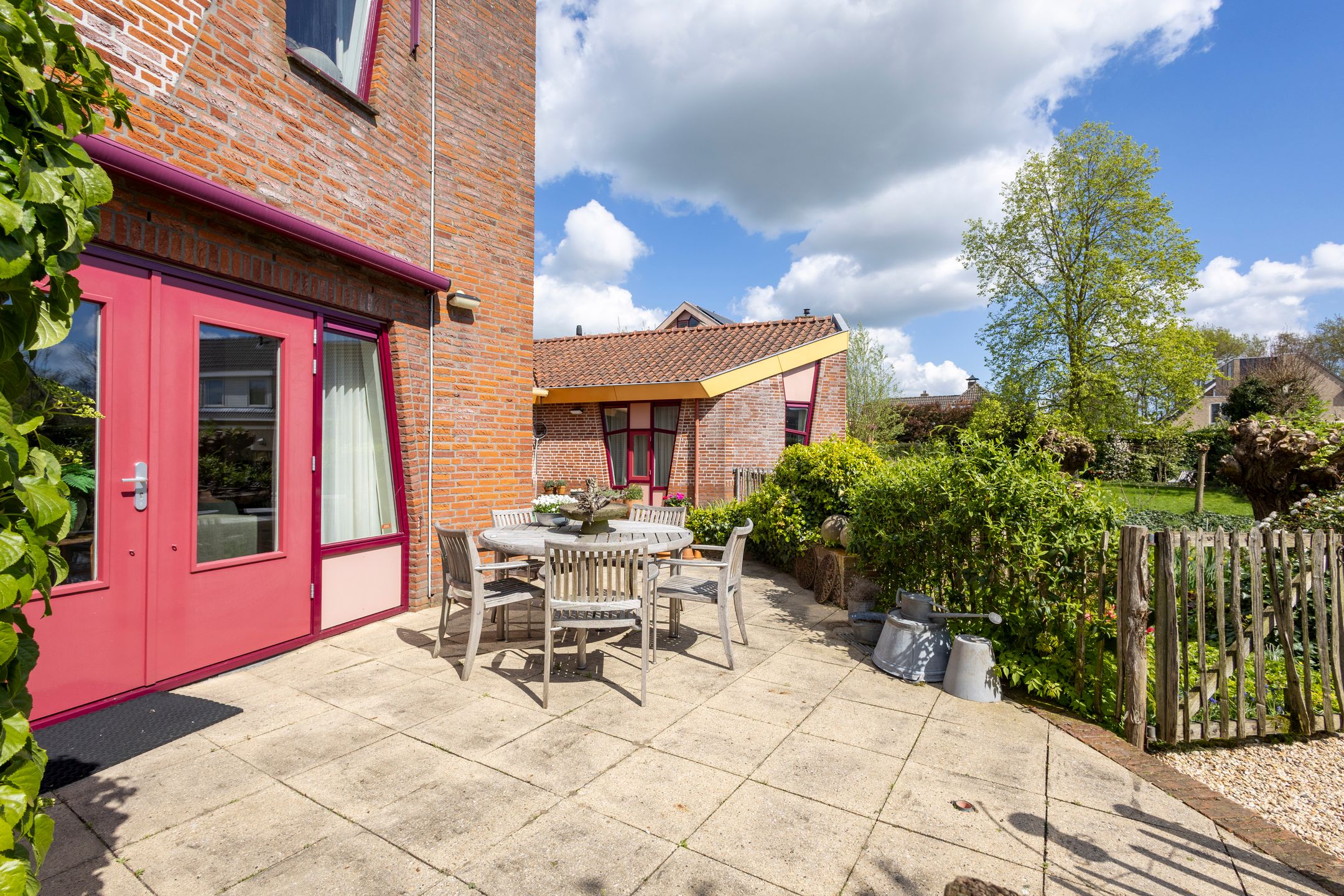 Foto 36 van Knobbelzwaan 4