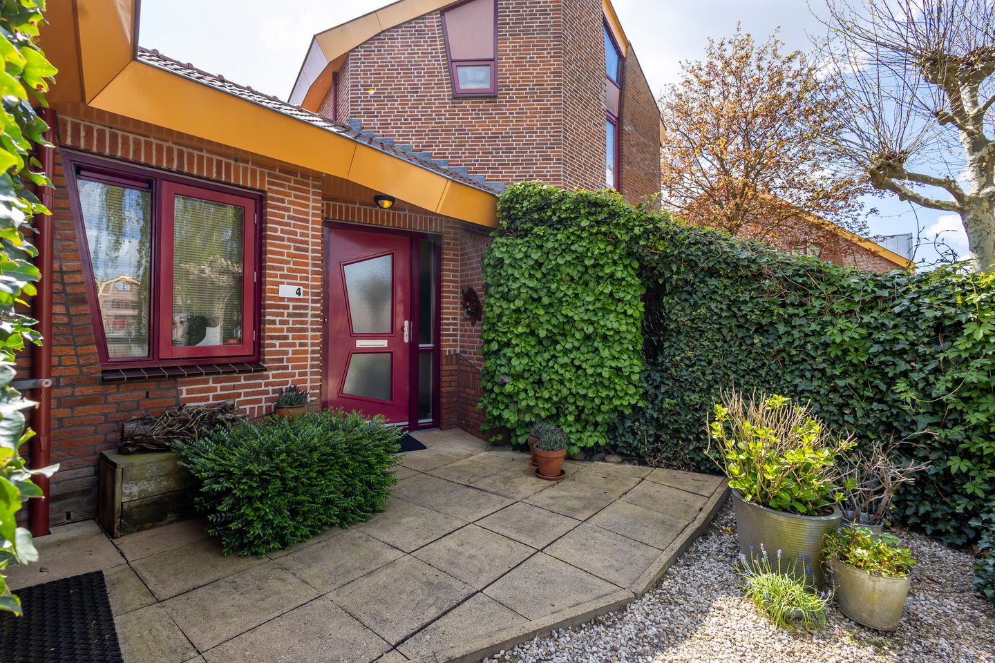 Foto 40 van Knobbelzwaan 4