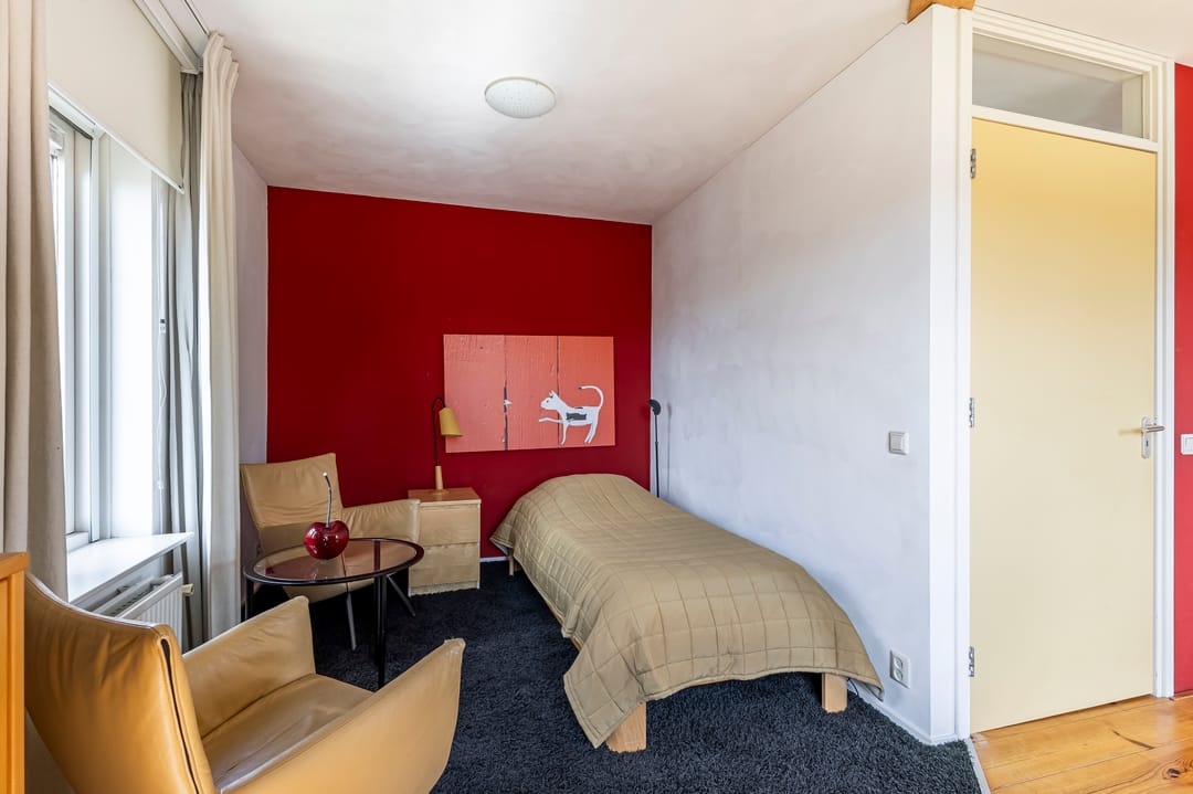 Foto 22 van Knobbelzwaan 4