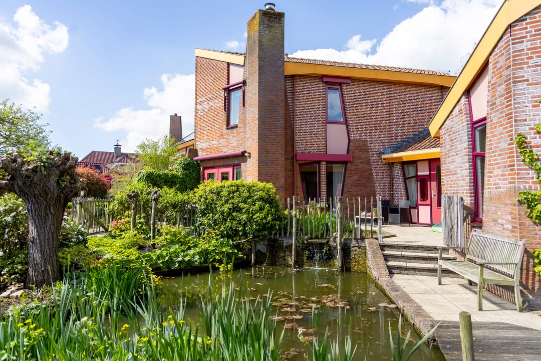 Foto 43 van Knobbelzwaan 4