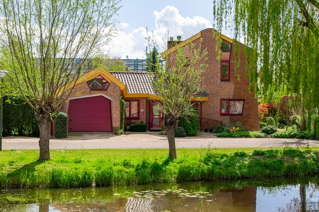 Foto 1 van Knobbelzwaan 4