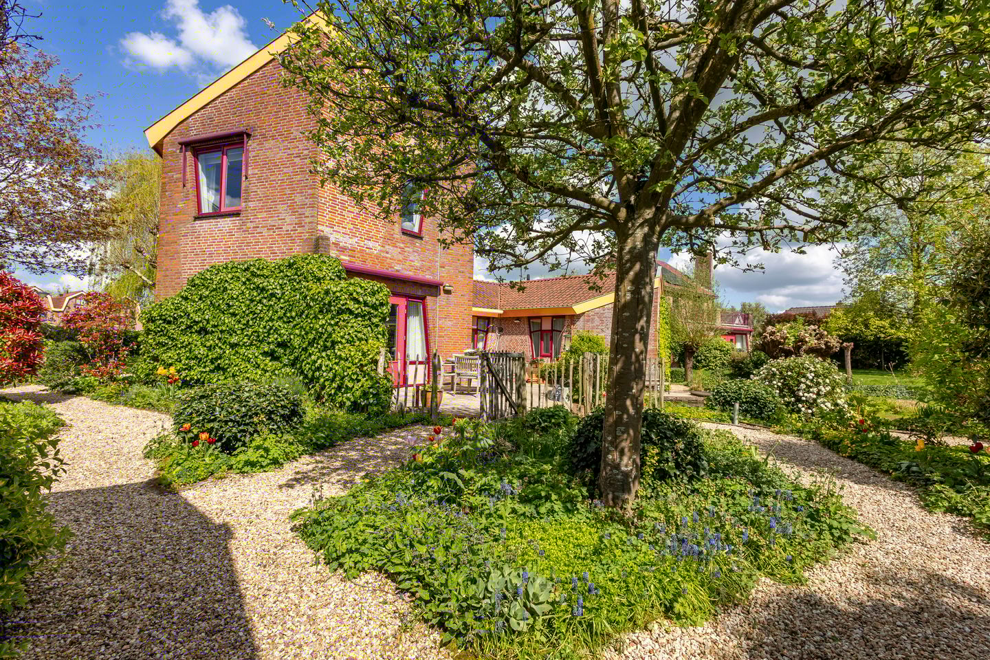 Foto 35 van Knobbelzwaan 4