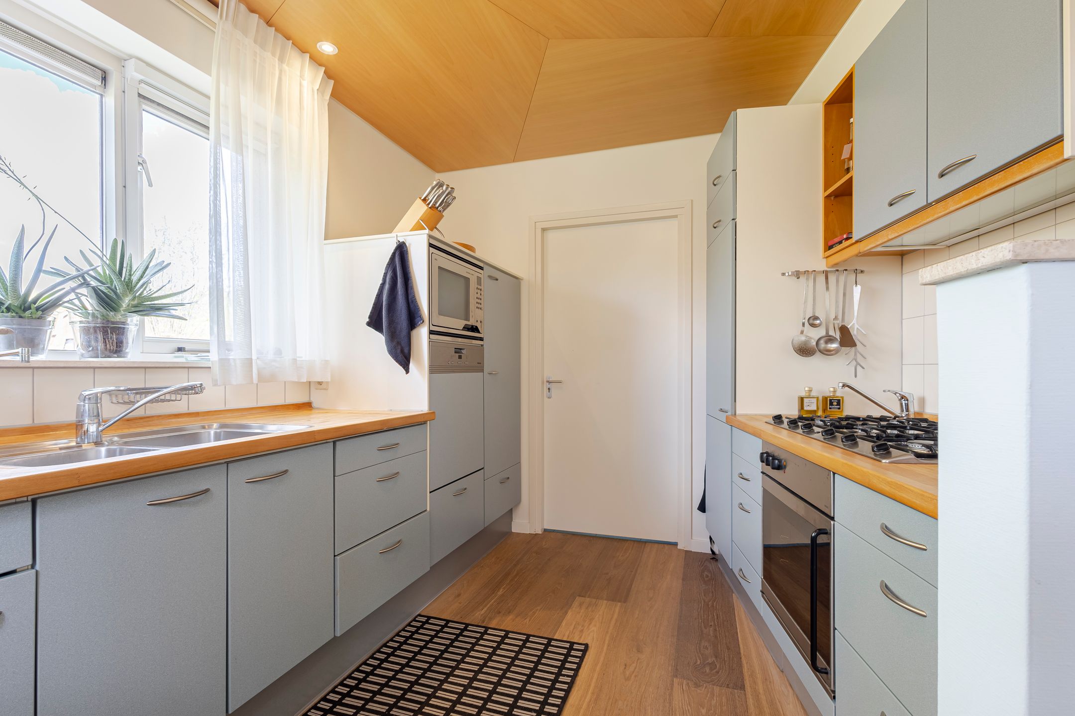 Foto 9 van Knobbelzwaan 4