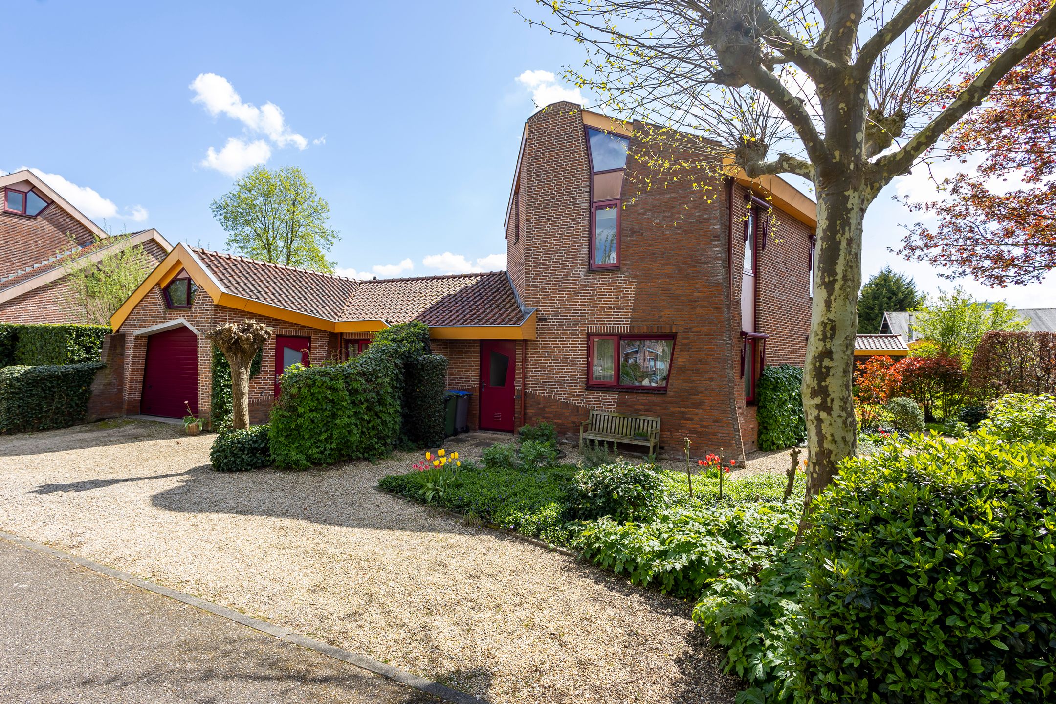 Foto 39 van Knobbelzwaan 4