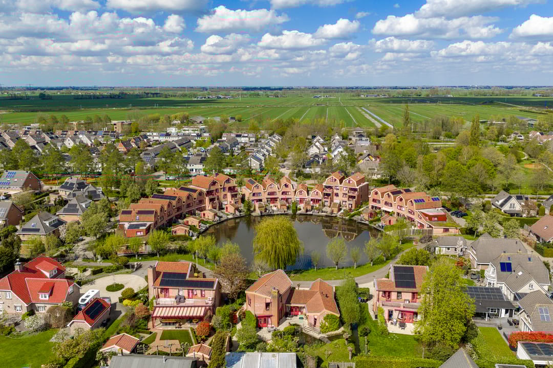 Foto 46 van Knobbelzwaan 4