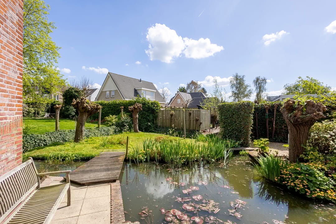 Foto 28 van Knobbelzwaan 4