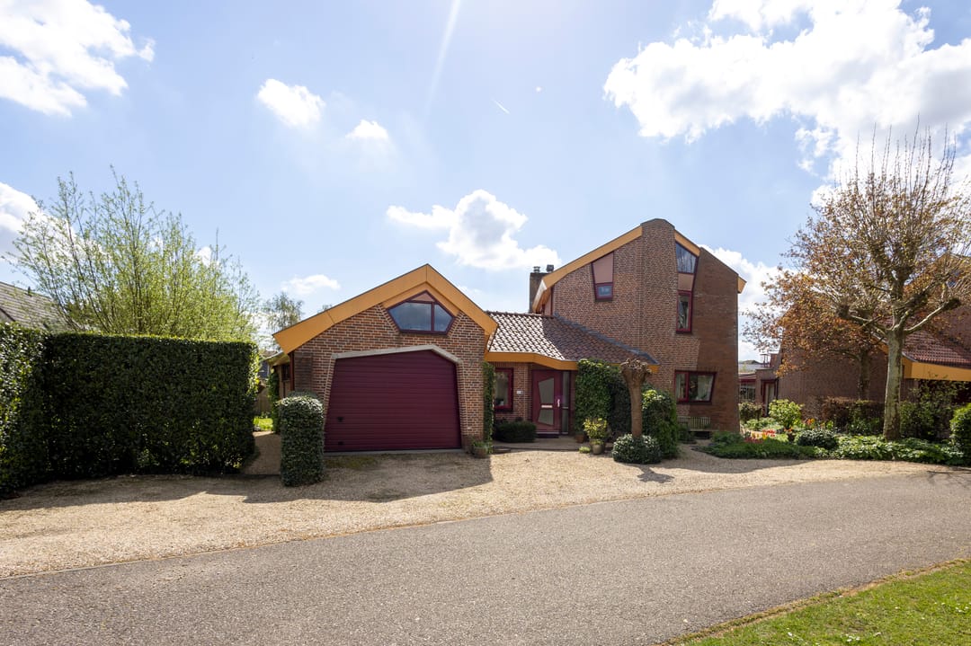 Foto 38 van Knobbelzwaan 4