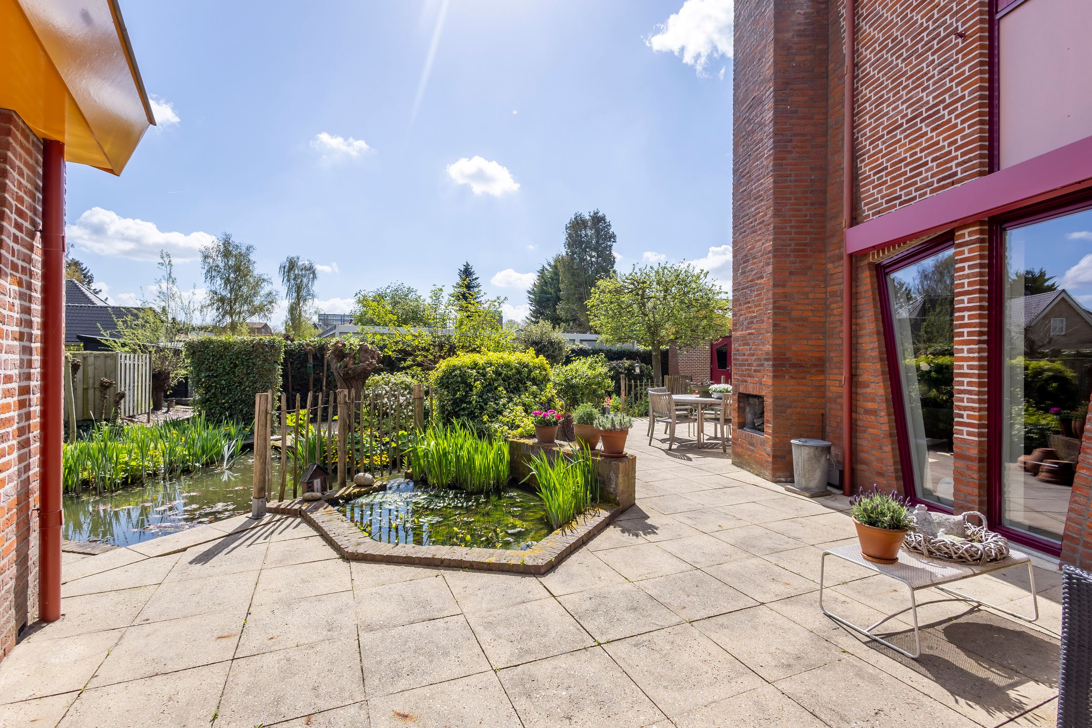 Foto 27 van Knobbelzwaan 4