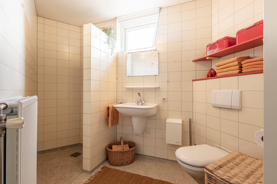 Foto 23 van Knobbelzwaan 4