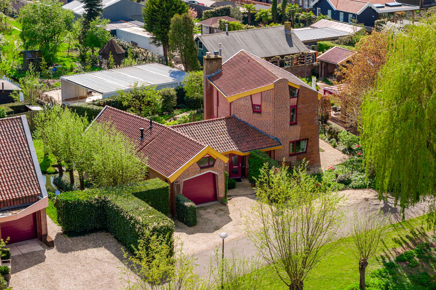 Foto 44 van Knobbelzwaan 4