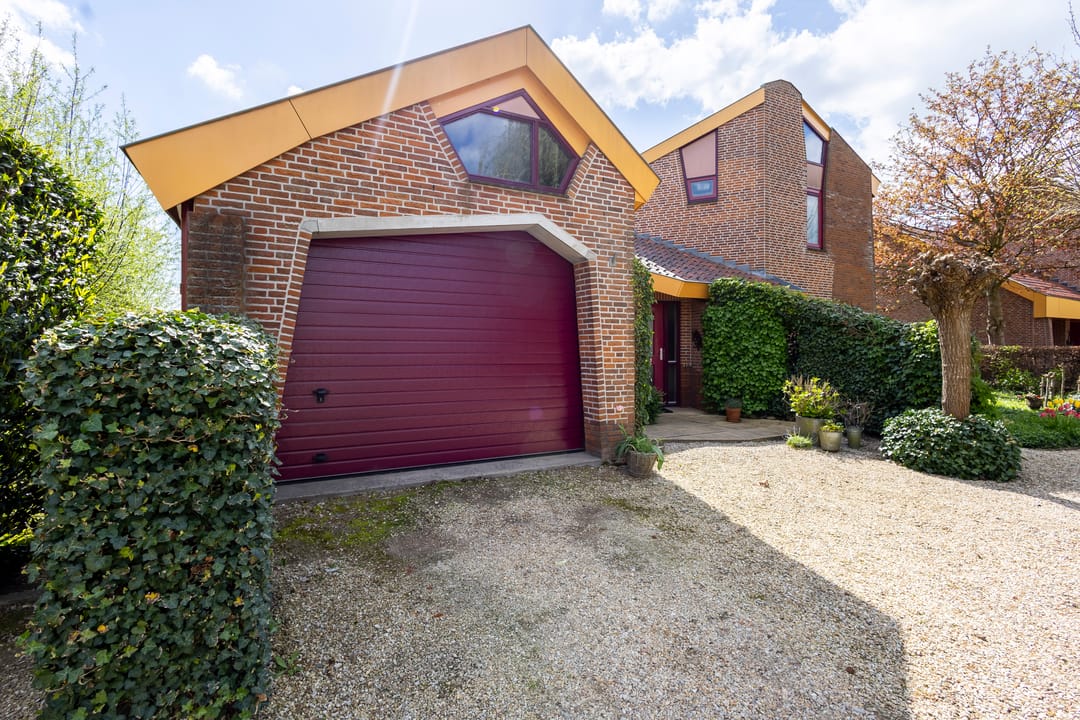 Foto 41 van Knobbelzwaan 4