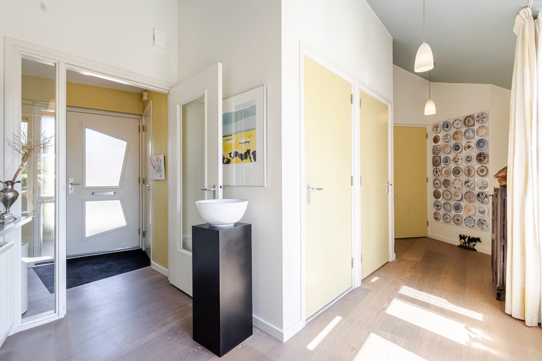 Foto 11 van Knobbelzwaan 4