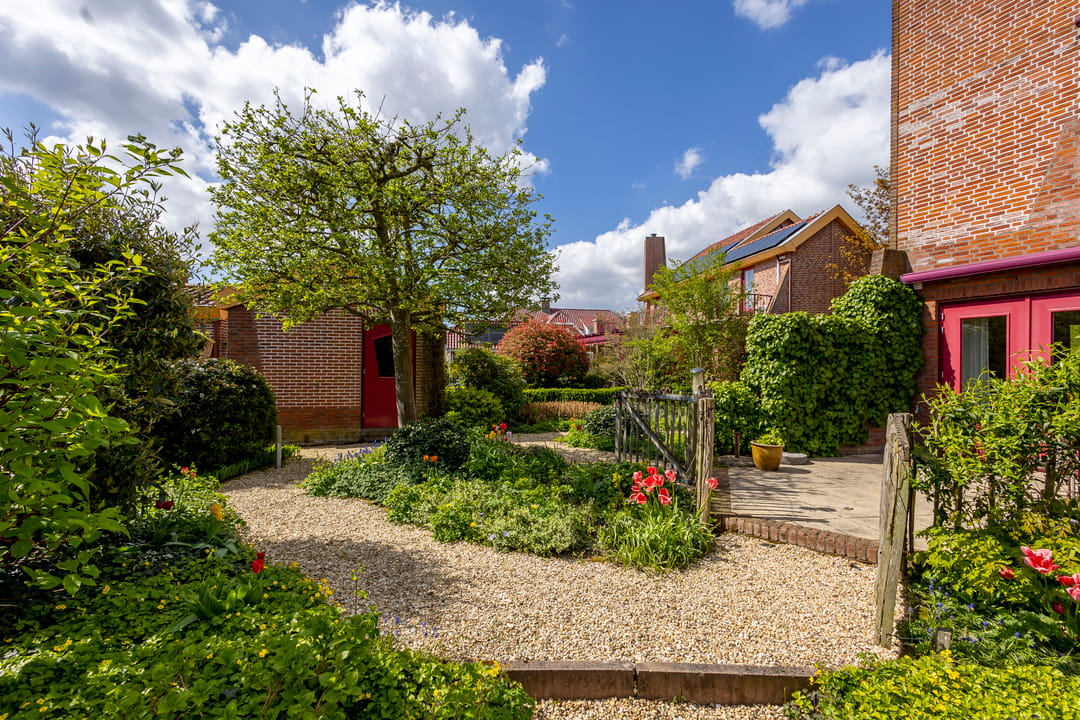 Foto 32 van Knobbelzwaan 4