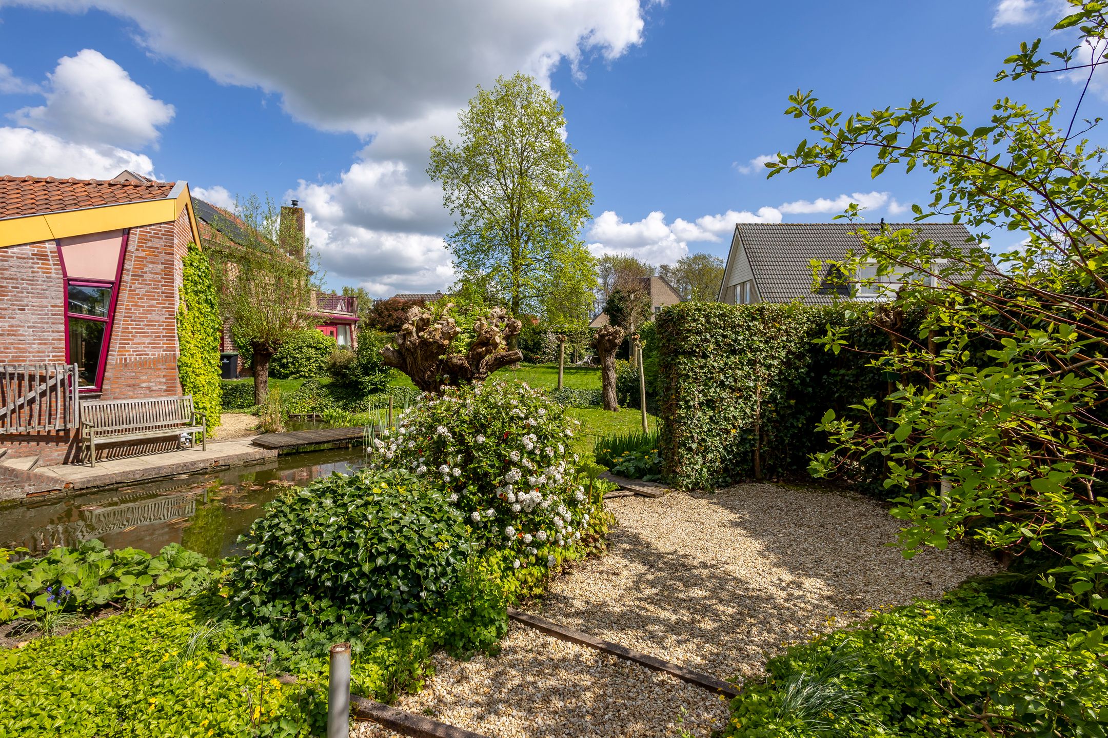 Foto 33 van Knobbelzwaan 4