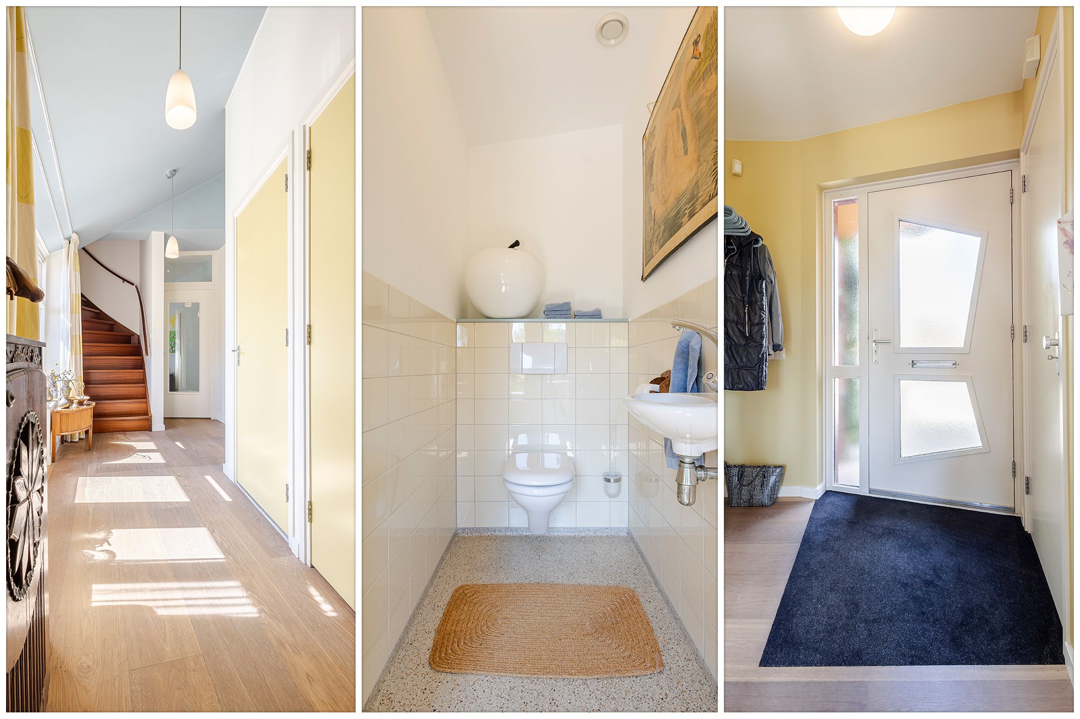 Foto 12 van Knobbelzwaan 4