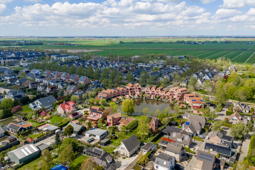 Foto 47 van Knobbelzwaan 4