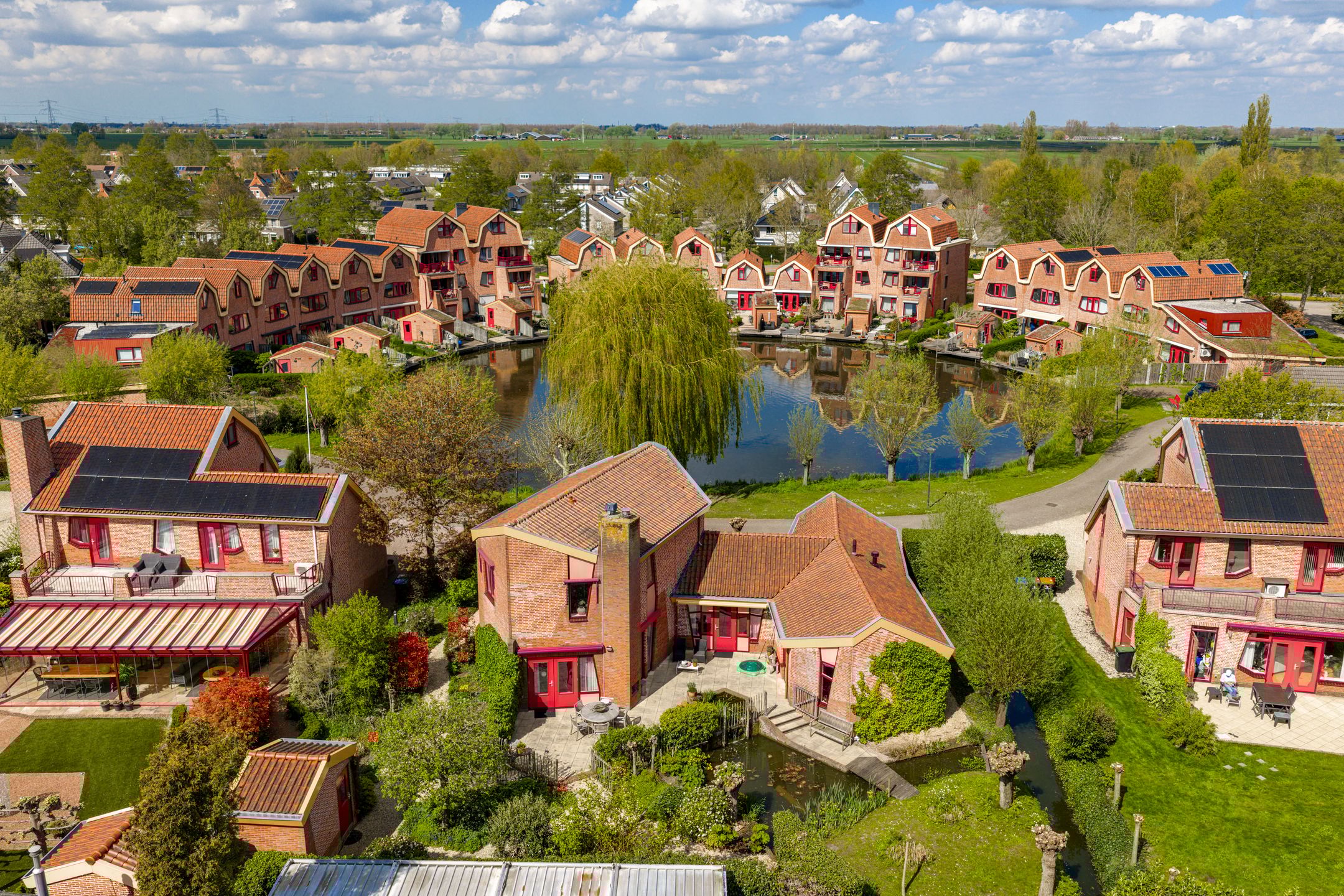 Foto 45 van Knobbelzwaan 4