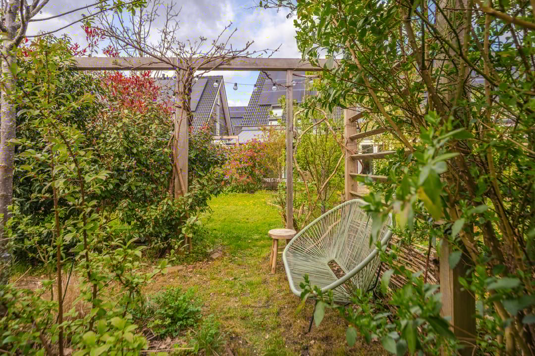 Foto 28 van Dijkkruin 9