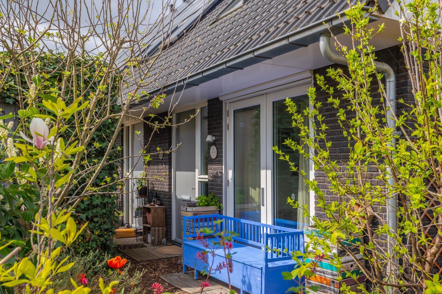 Foto 5 van Dijkkruin 9