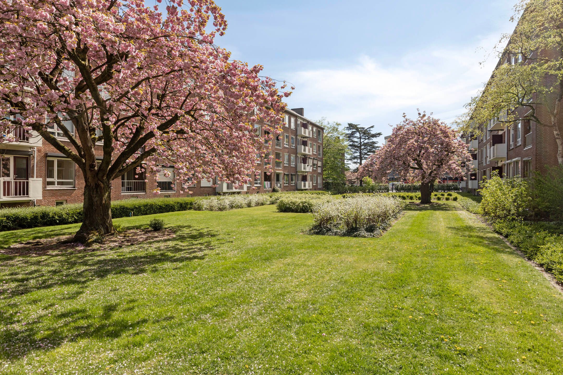 Foto 24 van Mgr. Frenckenstraat 24-C