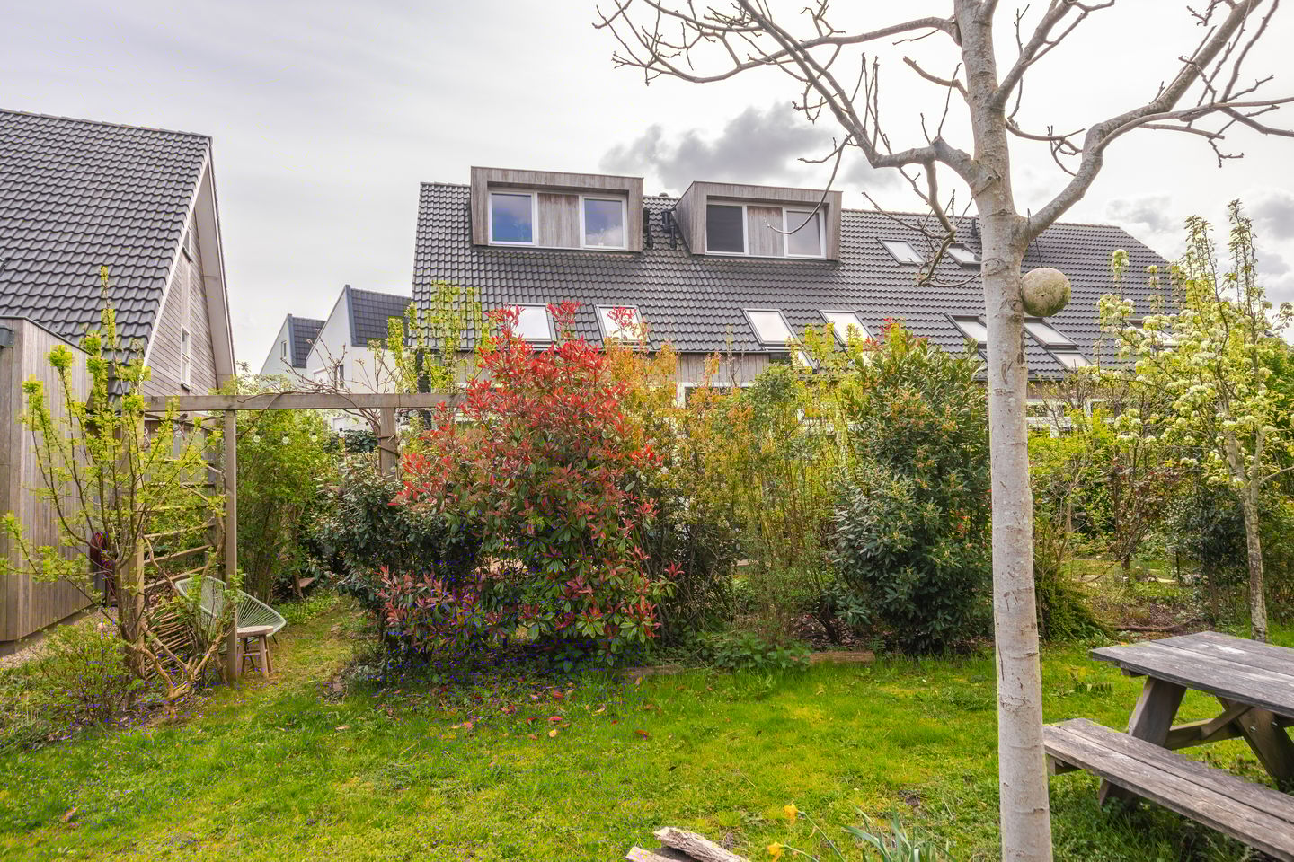 Foto 29 van Dijkkruin 9