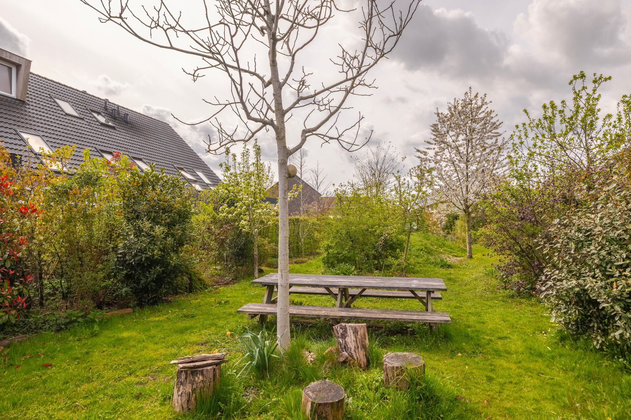 Foto 30 van Dijkkruin 9